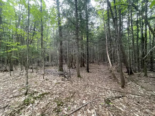 Phillips, ME 04966,6.1 Scammon RD