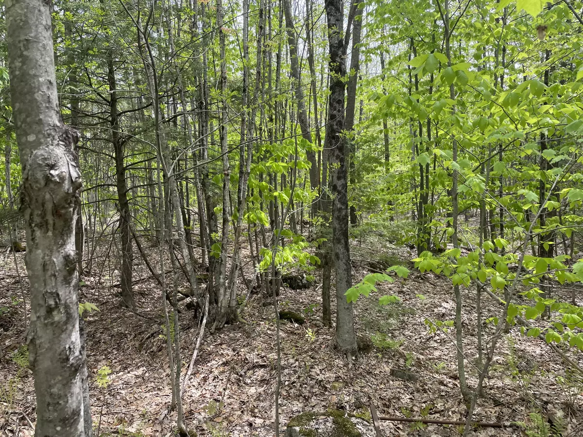 Phillips, ME 04966,6.1 Scammon RD