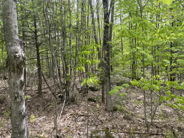 6.1 Scammon RD, Phillips, ME 04966