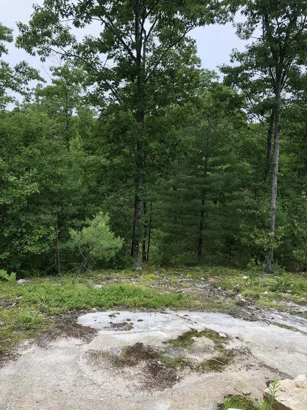 Lyman, ME 04002,014-A2 American WAY