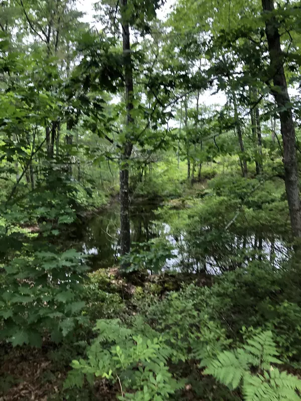 Lyman, ME 04002,014-A2 American WAY