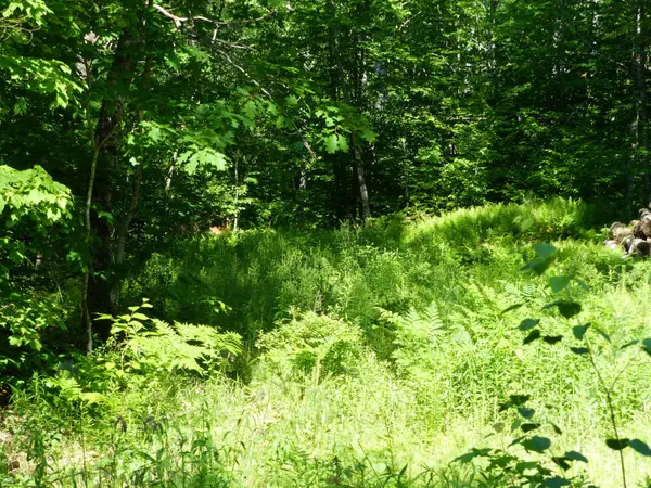 Nobleboro, ME 04555,35 Hutchings RD