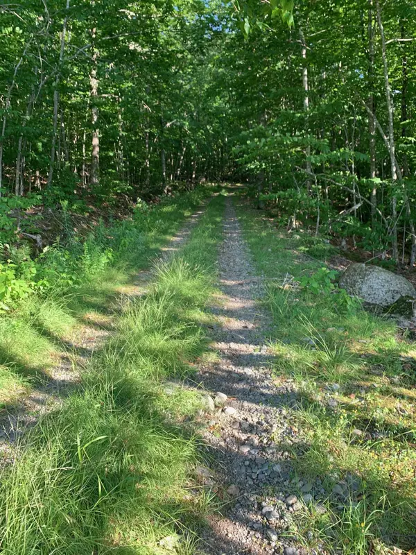 Saint Albans, ME 04971,Map 9 Lot 21 Off Diamond RD