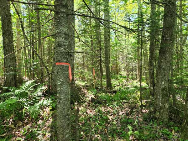 Lincolnville, ME 04849,Lot 127 Thurlow RD