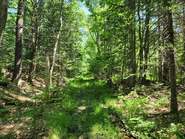 Lot 127 Thurlow RD, Lincolnville, ME 04849