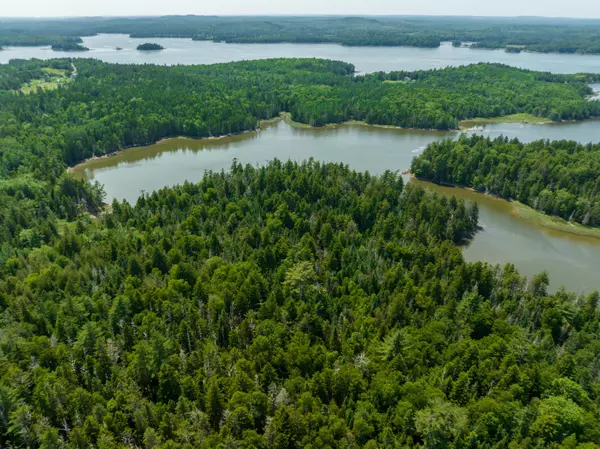 40.4 Timber Cove RD, Trescott Twp, ME 04652