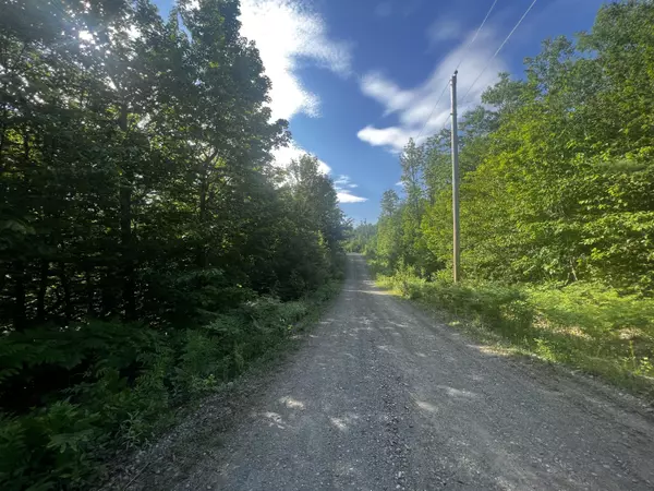 Phillips, ME 04966,Lot 8 Mooseley Ridge RD