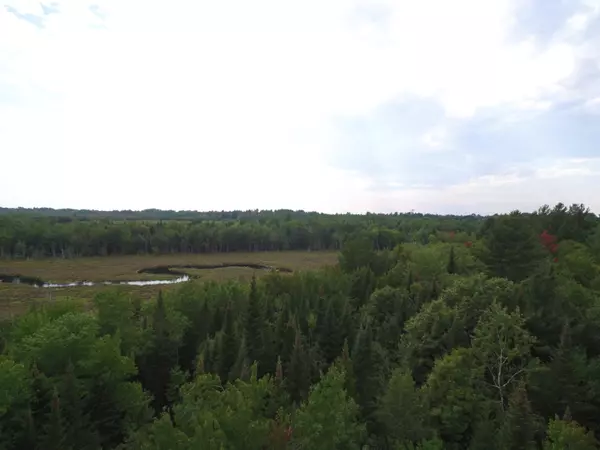 Greenbush, ME 04418,Lot 3 Stevens Brook LN