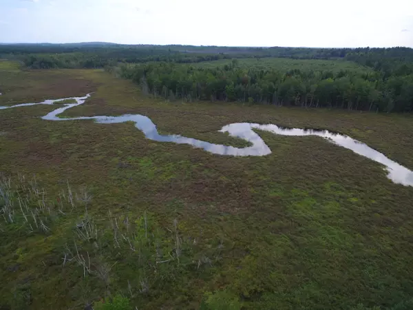 Greenbush, ME 04418,Lot 2 Stevens Brook LN