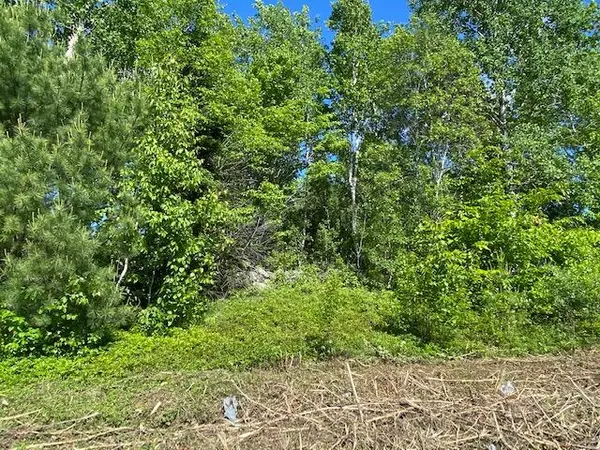 Amherst, ME 04605,M6L116 Durham LN