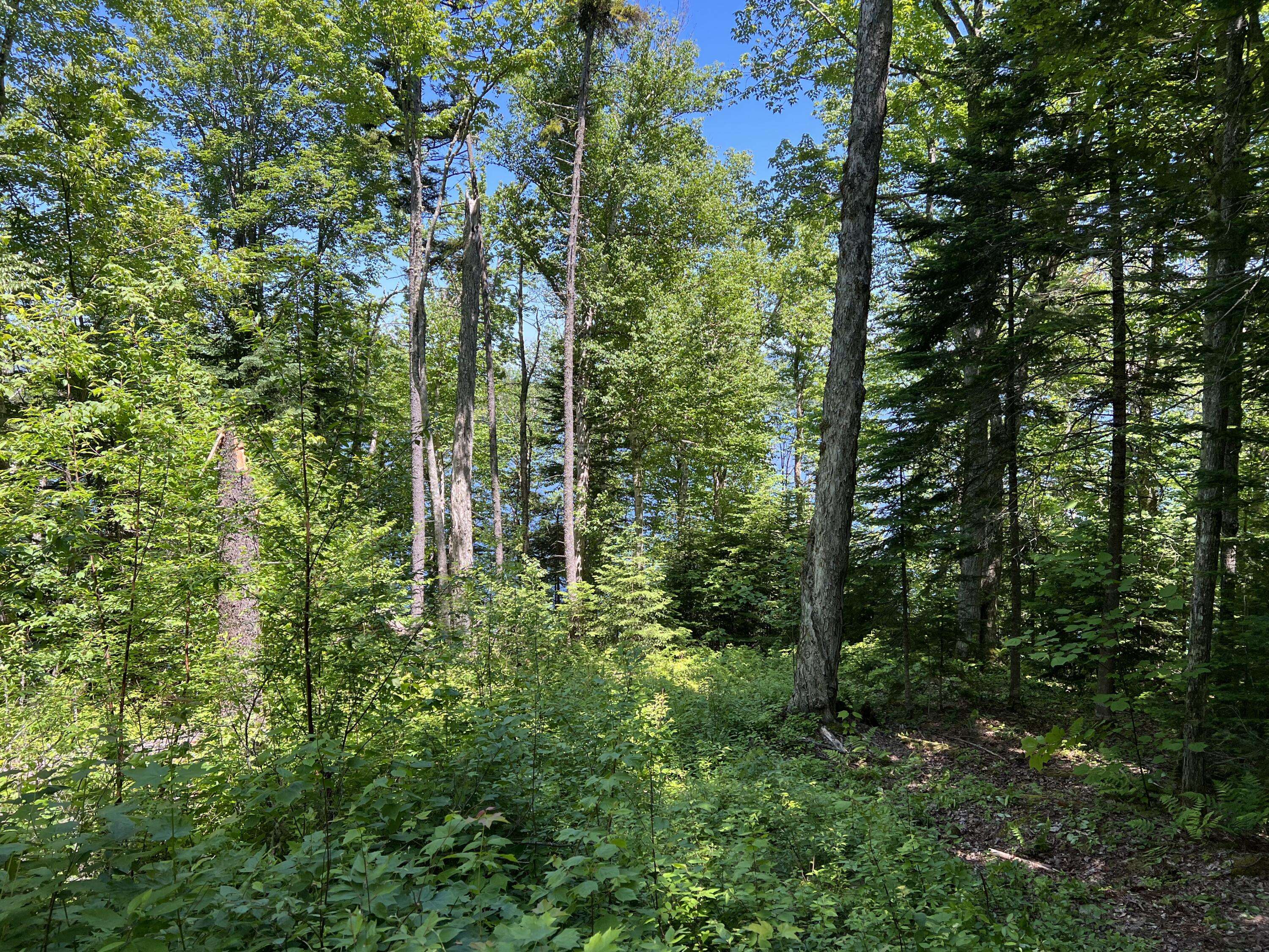 Adamstown Twp, ME 04970,0 Herr TRL