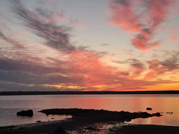 Surry, ME 04684,556 Newbury Neck RD