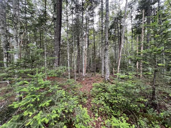 Lot 3 Bluff RD, Bar Harbor, ME 04609