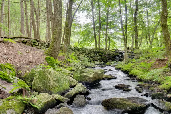 Waterboro, ME 04087,TBD Sokokis TRL