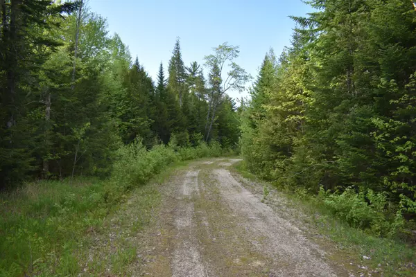 Lakeville, ME 04487,Lot 2 Horseshoe Lake RD