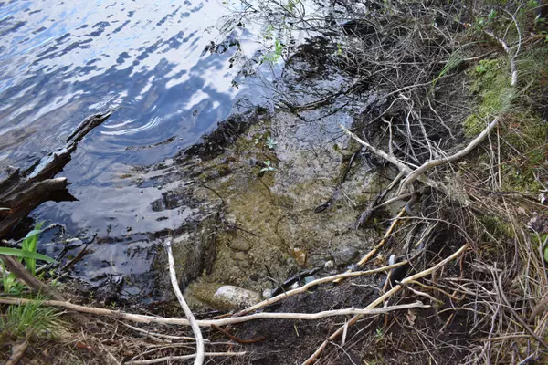 Lakeville, ME 04487,Lot 2 Horseshoe Lake RD