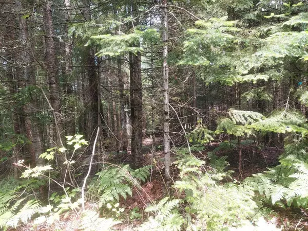 Rangeley Plt, ME 04970,Lot 34 Stephens Road/Moose RD