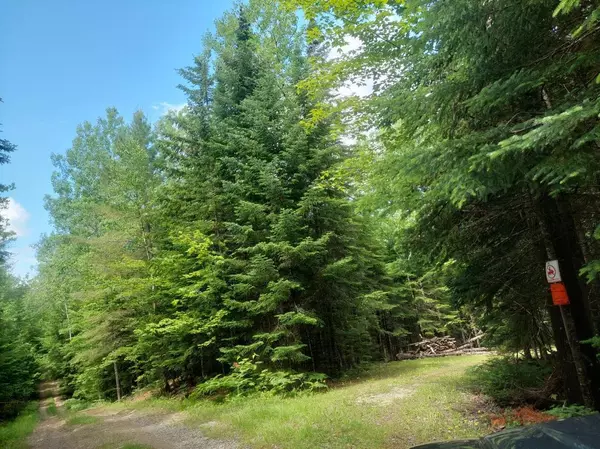 Rangeley Plt, ME 04970,Lot 34 Stephens Road/Moose RD