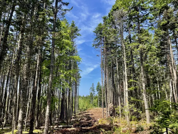 0 Ocean View RD, Vinalhaven, ME 04863