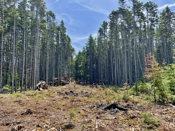 Vinalhaven, ME 04863,0 Ocean View RD