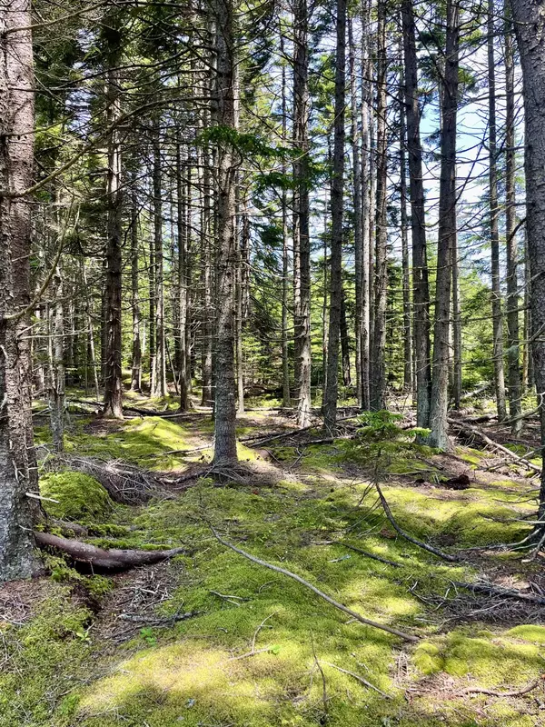 Vinalhaven, ME 04863,0 Ocean View RD