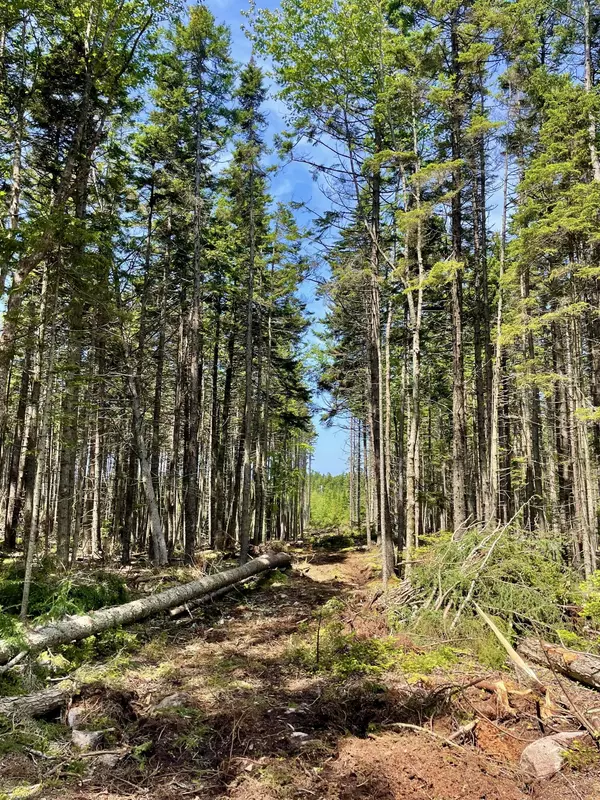 Vinalhaven, ME 04863,0 Ocean View RD