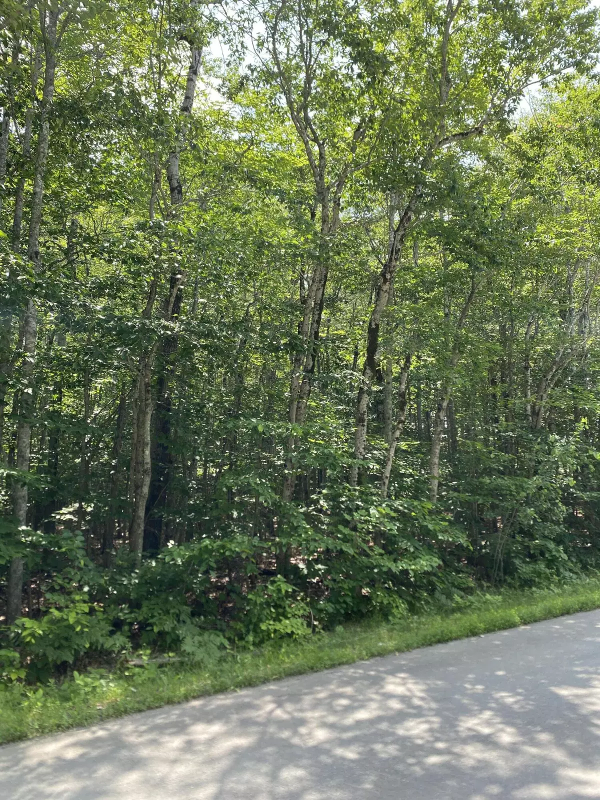 Hermon, ME 04401,Lot #15 York RD