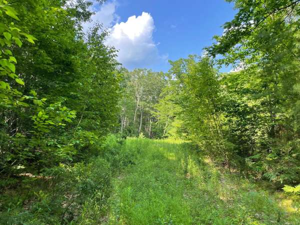 Damariscotta, ME 04543,Lot #8 Back Meadow Ext/Nissen Farm