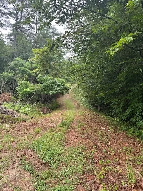 Naples, ME 04055,9 Alder RD