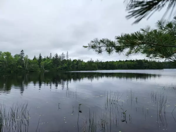 Robbinston, ME 04671,Parcel L Howard Lake RD