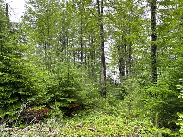 Baileyville, ME 04694,1-14 Lamb Farm RD