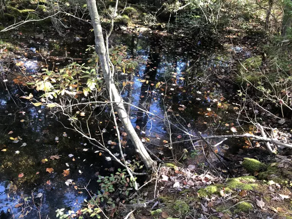 Vinalhaven, ME 04863,140 Pequot RD