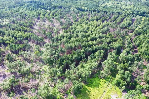 Shirley, ME 04485,Lot 10 West Bog