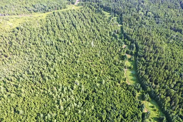 Shirley, ME 04485,Lot 12 West Bog