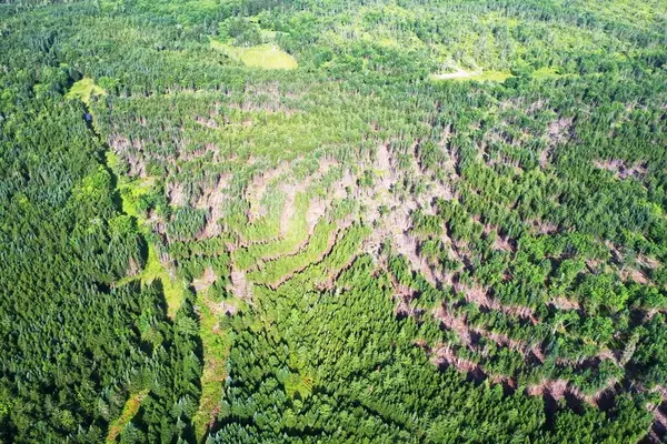 Shirley, ME 04485,Lot 12 West Bog