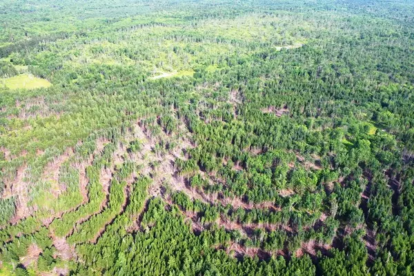 Shirley, ME 04485,Lot 12 West Bog