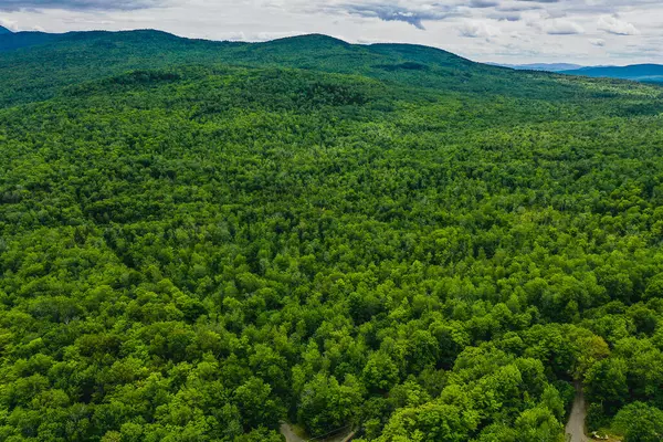 Phillips, ME 04966,Lot 6 Blue View Subdivision