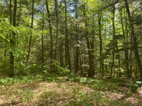 Albany Twp, ME 04217,TBD Baker RD