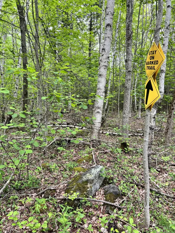 Northport, ME 04849,L17 Beech Hill RD