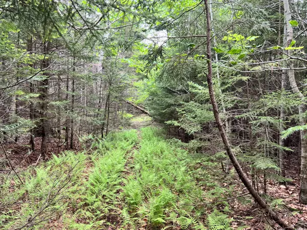 Northport, ME 04849,L17 Beech Hill RD