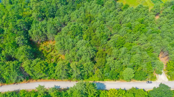 Denmark, ME 04022,M27 L21-C Bush Row RD