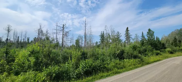 Grand Isle, ME 04746,M38L8 Doucette Road