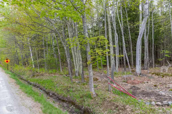 Saint Albans, ME 04971,Lot 29 Mason Corner RD