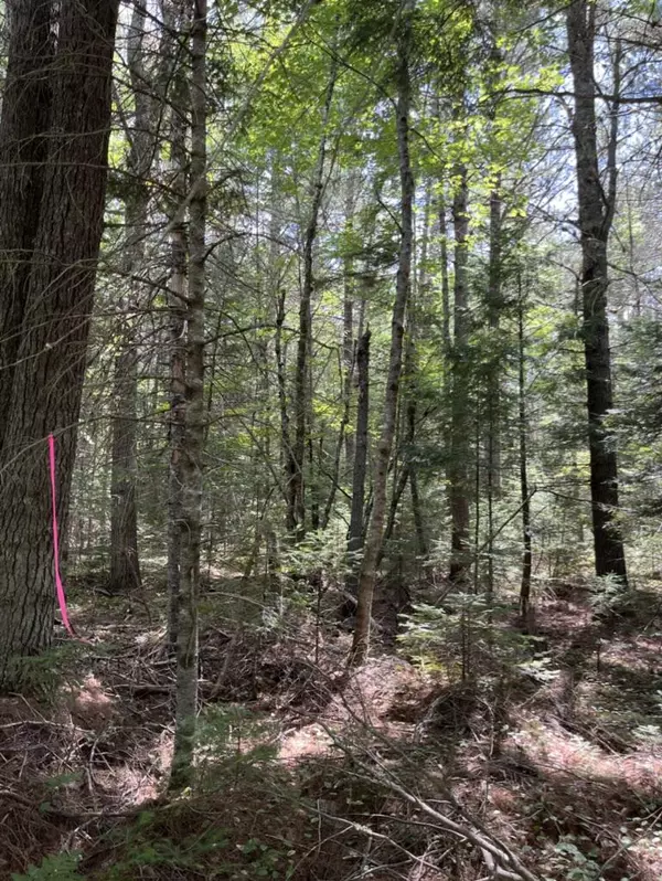 Otis, ME 04605,R10L22 Springy Pond RD