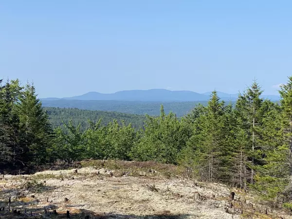 Greenville, ME 04441,16 Alpine RDG