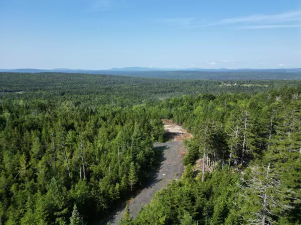 16 Alpine RDG, Greenville, ME 04441