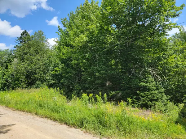 Springfield, ME 04487,Lot 2 Old Winn RD