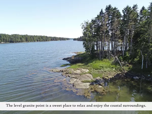 Milbridge, ME 04658,Lot 8 Blue Heron WAY