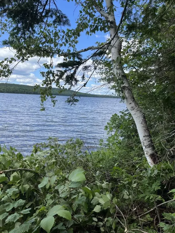 Lot 40 Woodland Ridge RD, Danforth, ME 04424