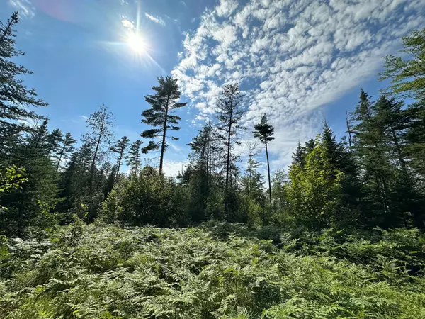 Great Pond, ME 04408,000 Great Pond Road